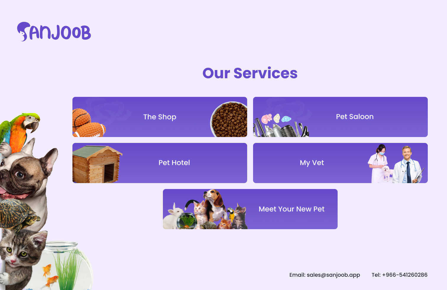 Full Height and Width Image Centered